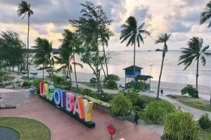 e7a0dd50-0154-4eb9-beef-5bb3184a7c28